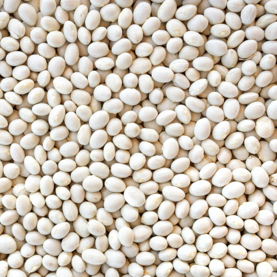 Hasata Derinkuyu Kuru Fasulyesi (1 Kg) - Hasata (1)
