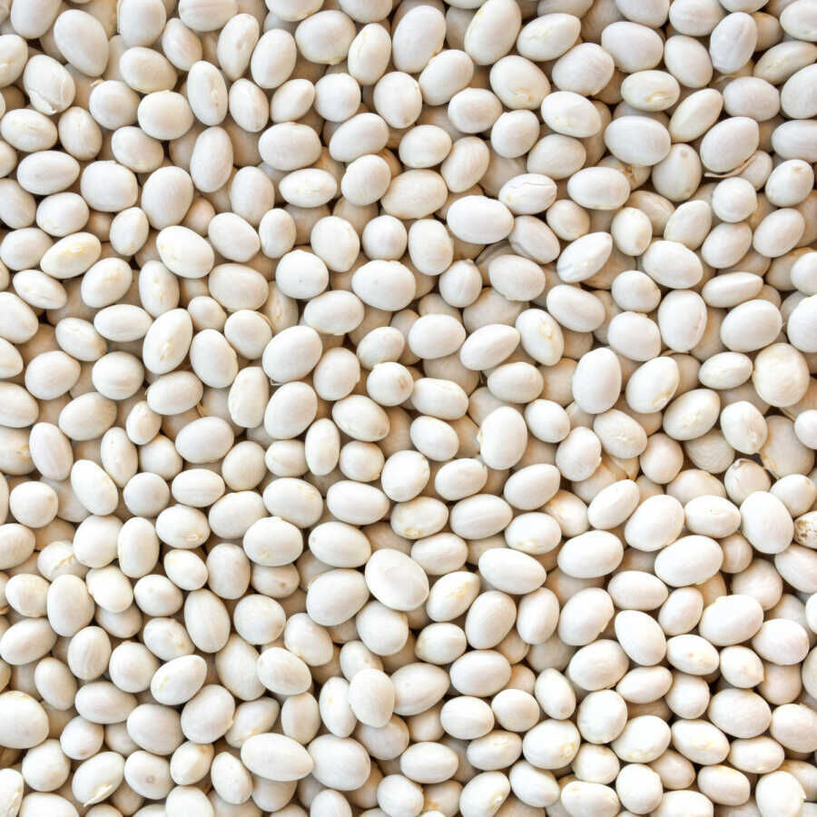 Hasata Derinkuyu Kuru Fasulyesi (1 Kg) - 2
