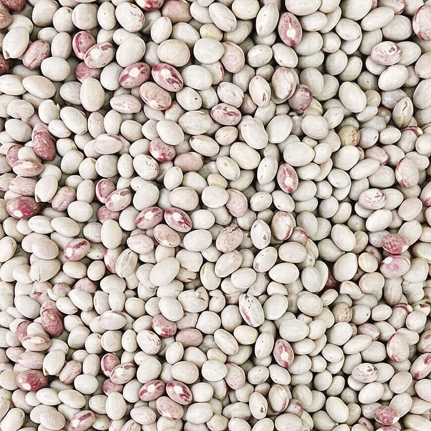 Hasata Gümüşhane Kelkit Şeker Fasulyesi 500 g - 3
