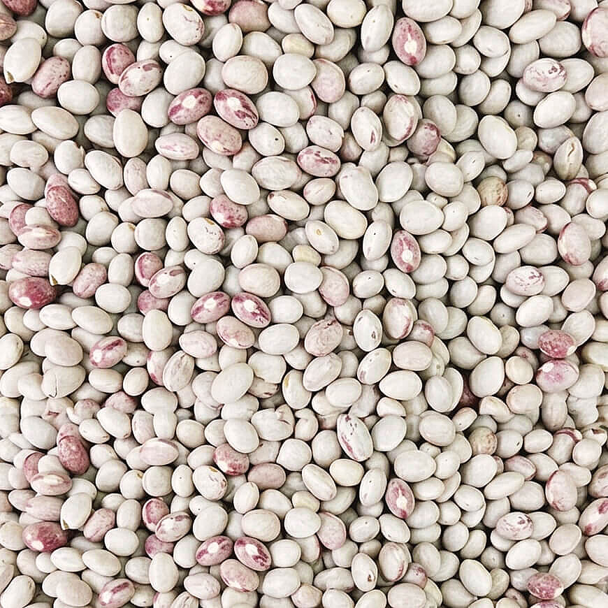 Hasata Gümüşhane Kelkit Şeker Fasulyesi 500 g - 3