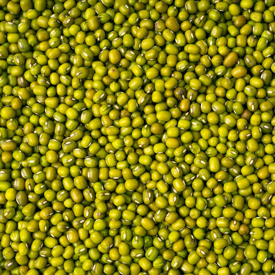 Hasata Kadim Maş Fasulyesi 500 g - Hasata (1)