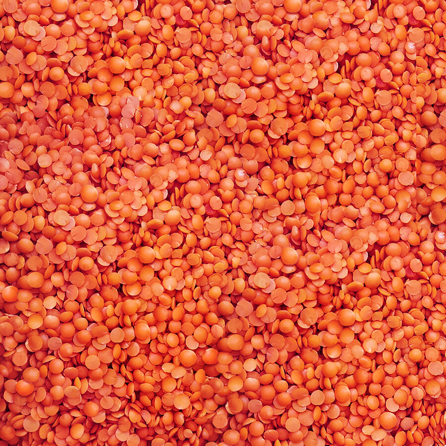 Hasata Mardin Kırmızı Yaprak Mercimek (1 Kg) - 2