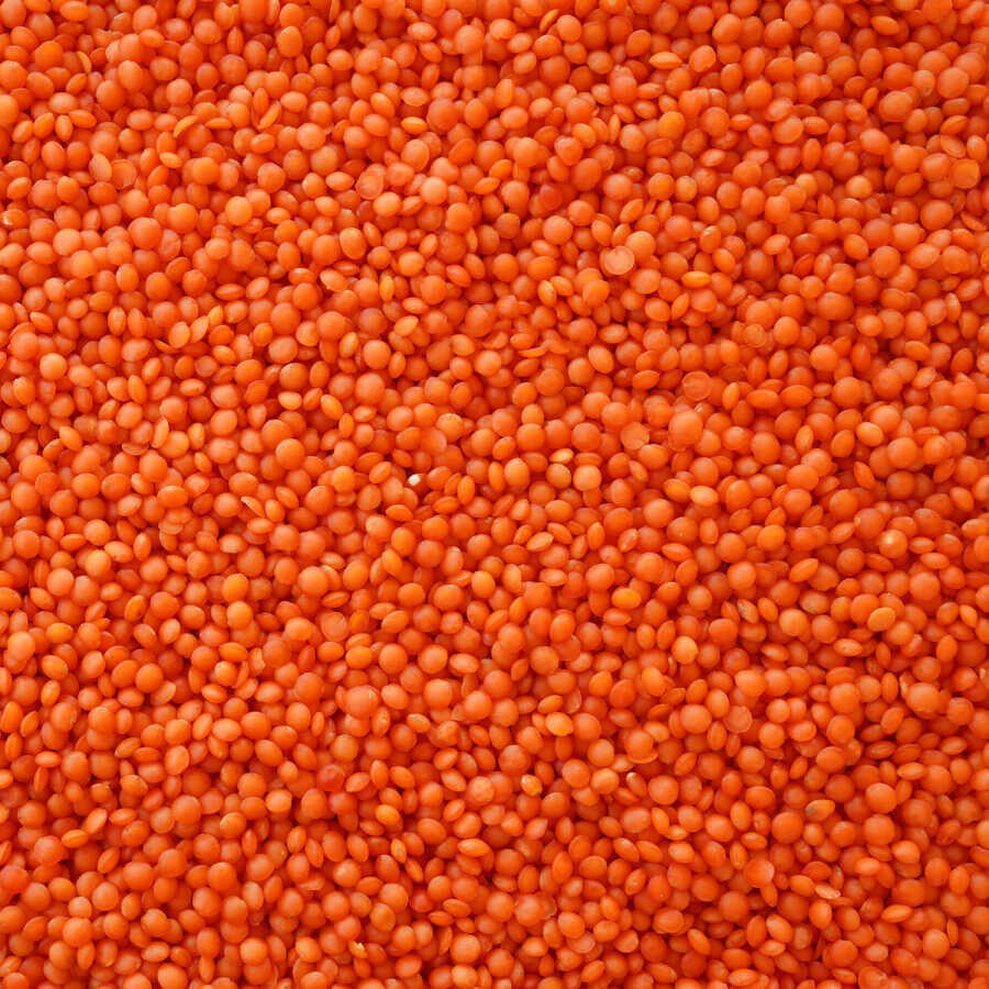 Hasata Mardin Red Lentils 1 KG - Hasata (1)