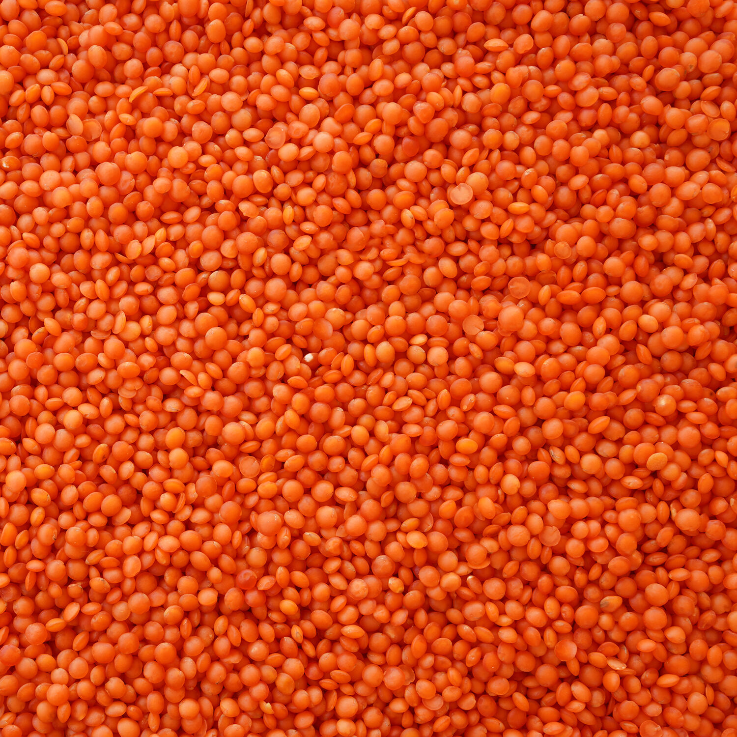 Hasata Mardin Red Lentils 2 KG - 2