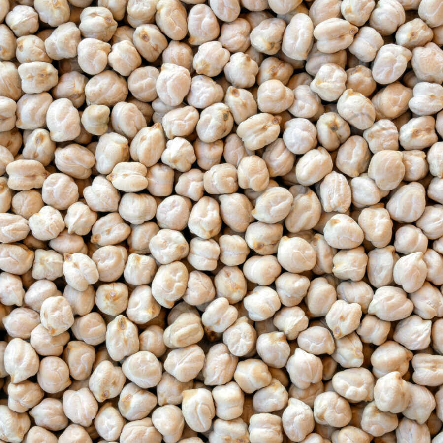 Hasata White Chickpea 1 KG - Hasata (1)