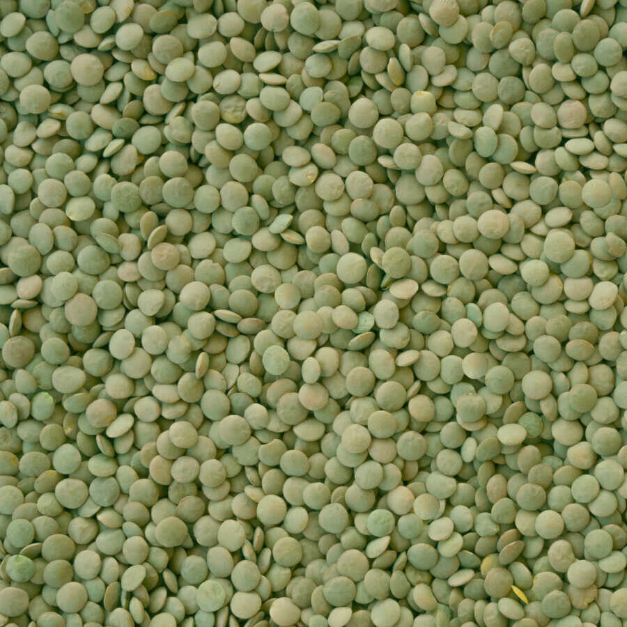 Hasata Yozgat Sultani Green Lentils 1 KG - Hasata (1)