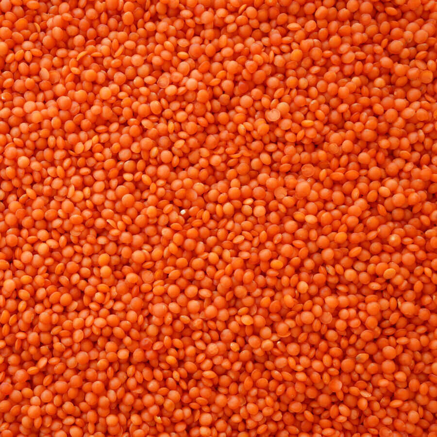 Hasata Mardin Kırmızı Mercimek (1 Kg) - 2