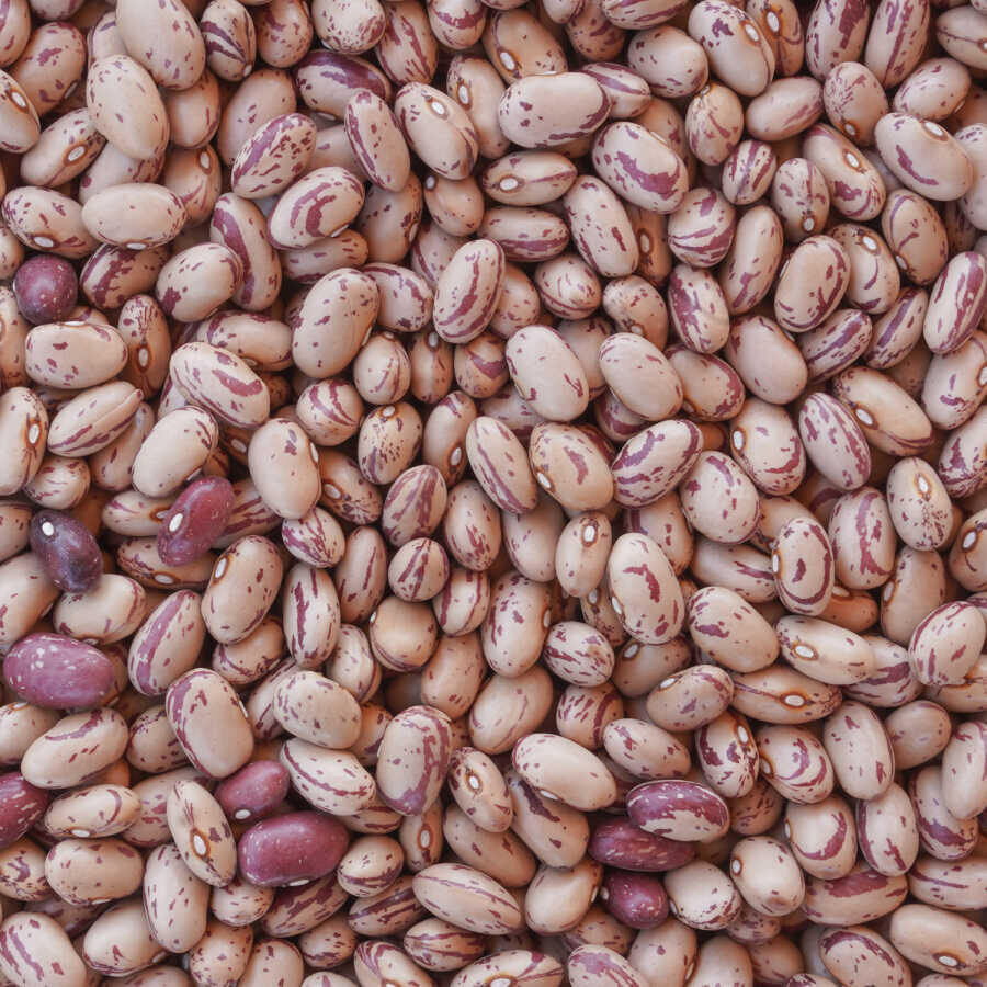 Hasata Niğde Kiraz Barbunya (1 Kg) - Hasata (1)