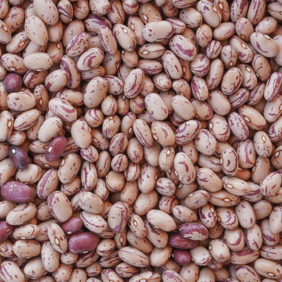 Hasata Niğde Kiraz Barbunya (1 Kg) - 2