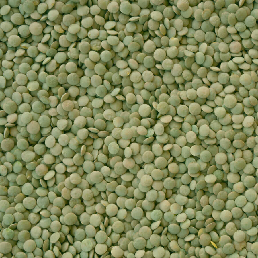 Hasata Yozgat Sultani Yeşil Mercimek (1 Kg) - 2